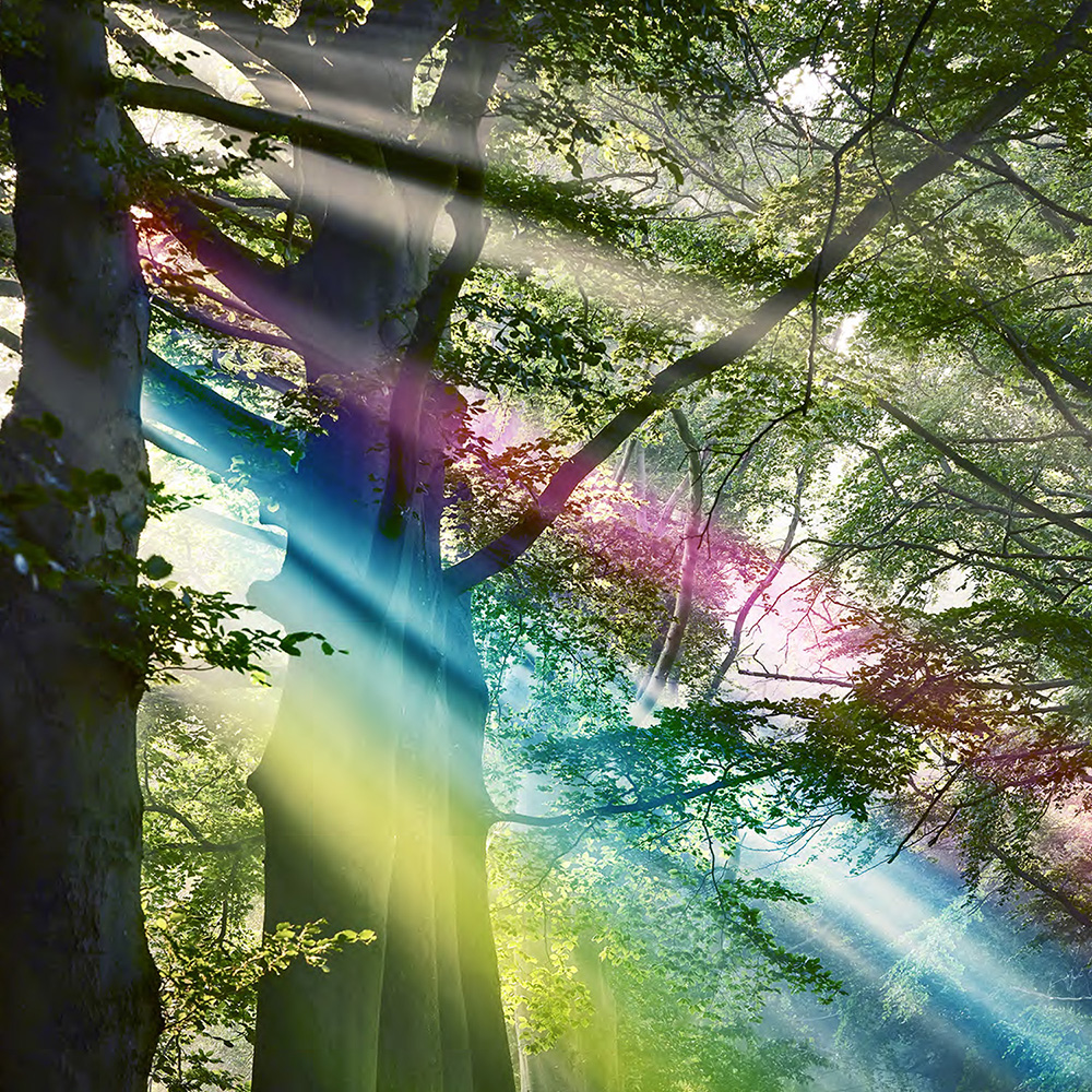 Contenu personnalisé